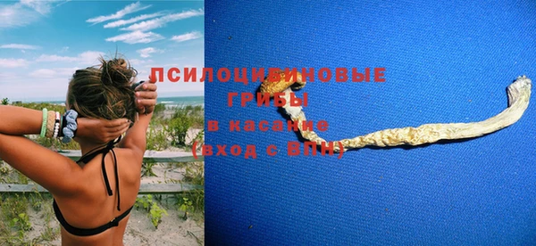 прущие грибы Абаза