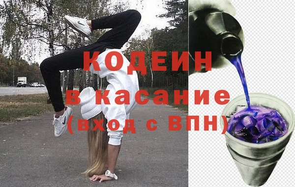 прущие грибы Абаза