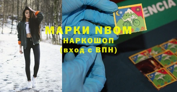 прущие грибы Алзамай