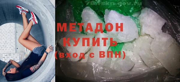 прущие грибы Абаза