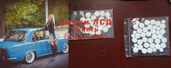 прущие грибы Алзамай