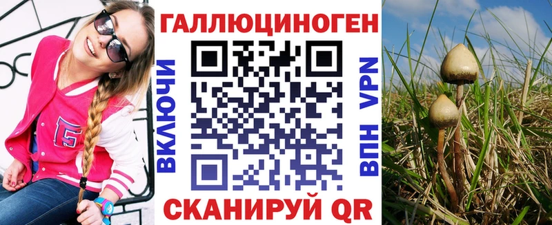 Псилоцибиновые грибы Psilocybe закладки Димитровград